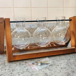 Plant Terrarium With Wooden Stand and 3 Bulb Vases